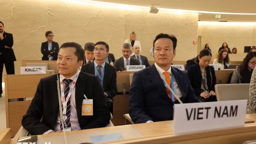 Vietnam continues to contribute effectively to multilateral mechanisms: Ambassador