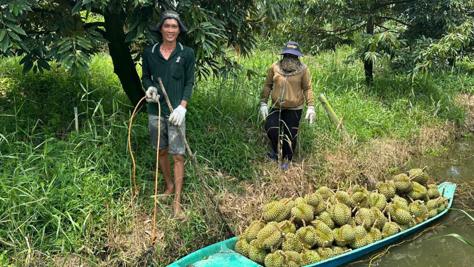 Đồng Tháp kiến nghị lấy mẫu xét nghiệm sầu riêng, mít