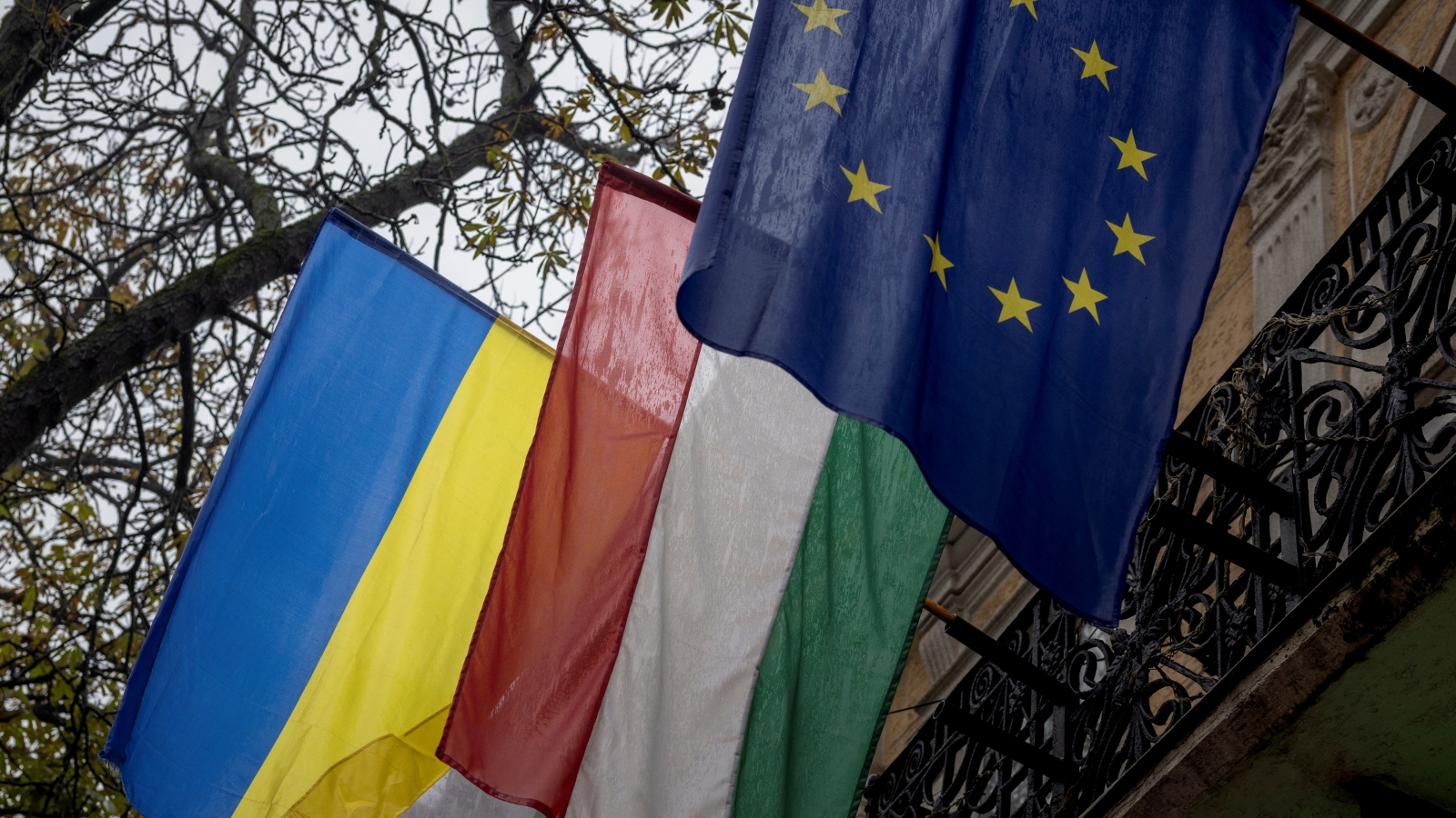 Hungary và Ukraine khởi động đàm phán, mở đường cho các nỗ lực gia nhập EU