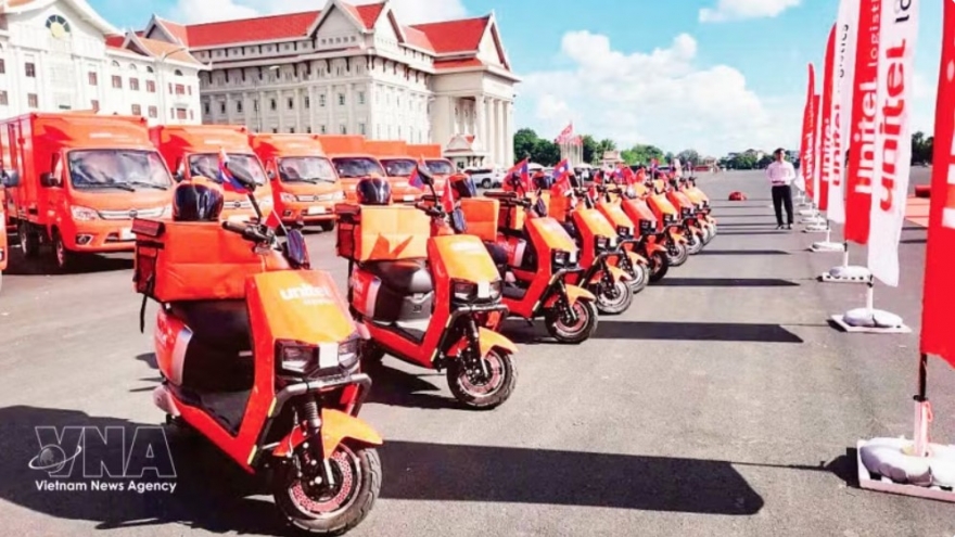 Vietnamese firms expand global footprint