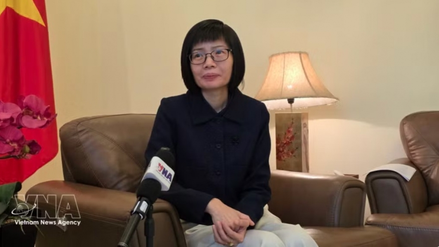 Vietnam works with ASEAN to navigate global turbulence: ambassador