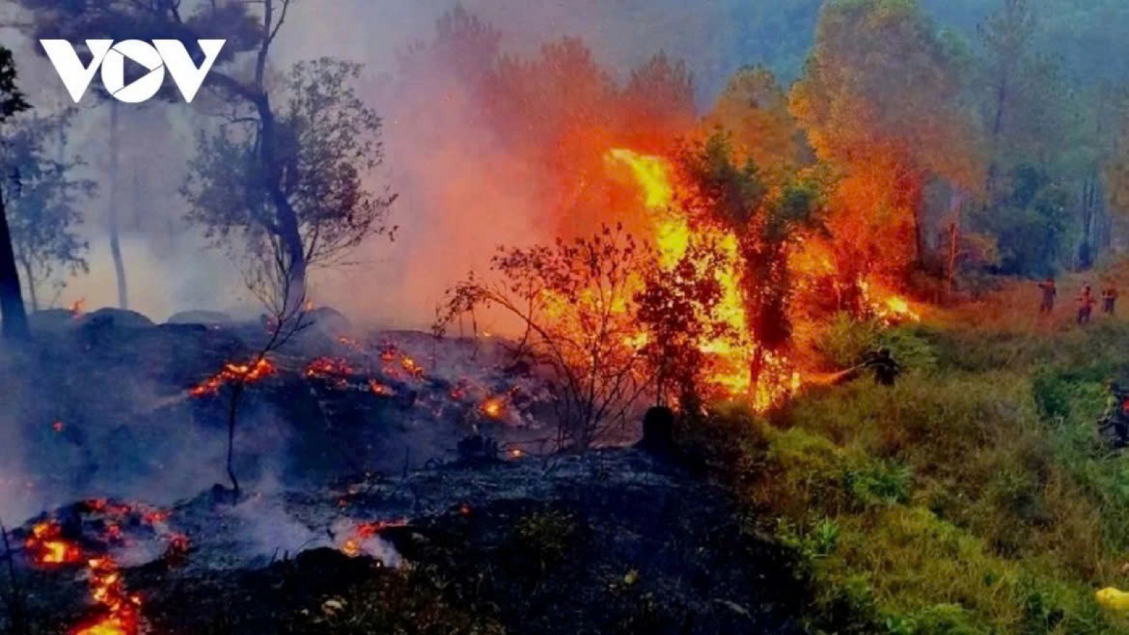 Widespread heatwave raises extreme wildfire risk in North-central Vietnam