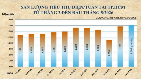 Nắng nóng kéo dài, tiêu thụ điện tại TP.HCM tiếp tục tăng cao