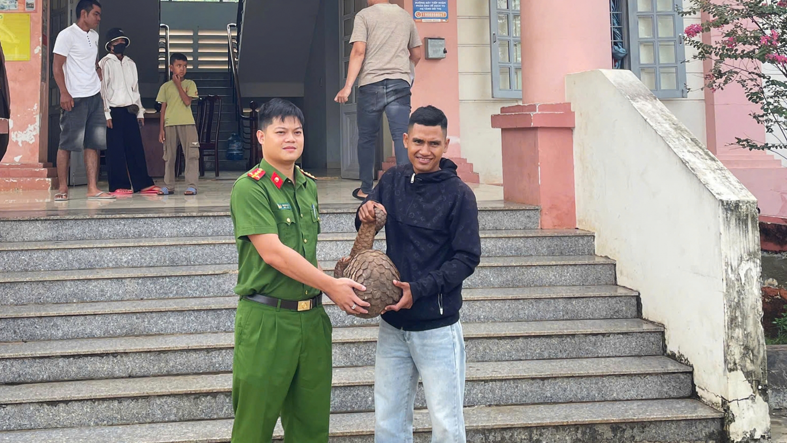 Bắt được tê tê quý hiếm nặng 9kg, một thanh niên ở Đắk Lắk giao nộp cho xã