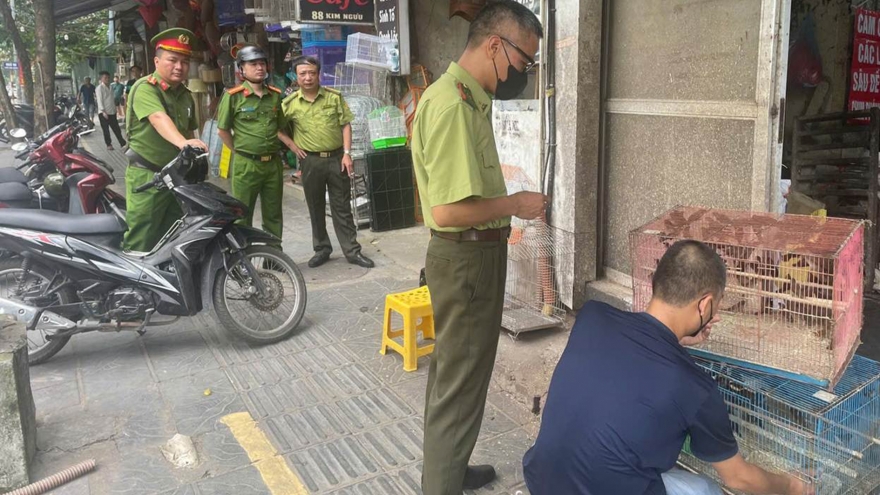 Công an bất ngờ kiểm tra phố chim cảnh ở Hà Nội, phát hiện nhiều vi phạm