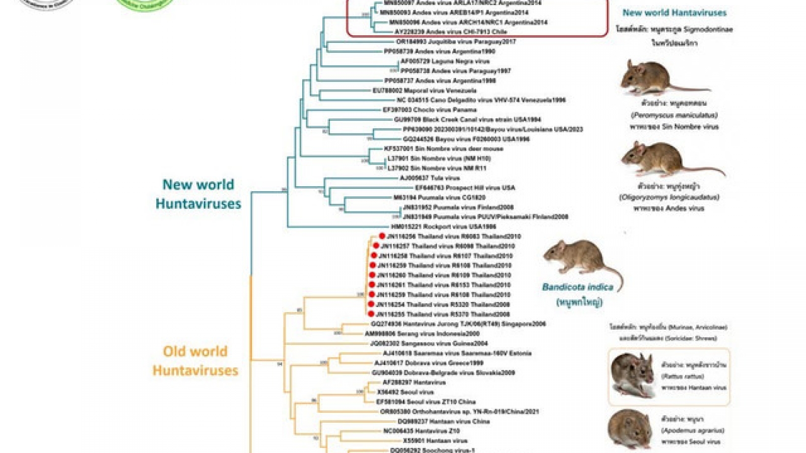 Thái Lan và Malaysia tăng cường giám sát trước cảnh báo về dịch hantavirus