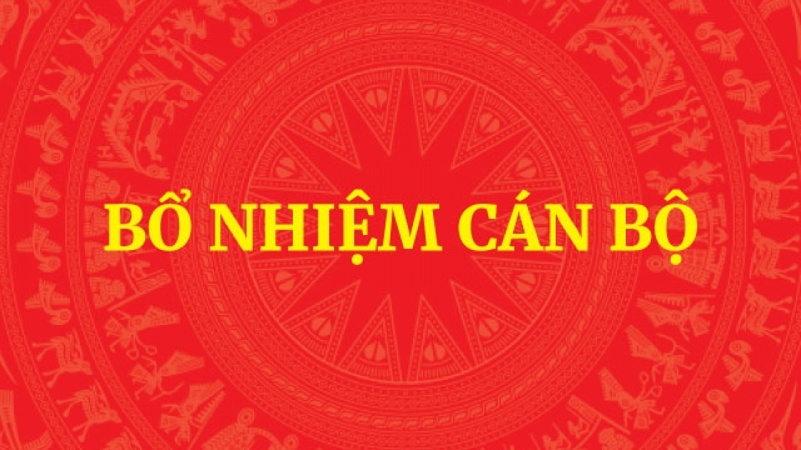 Bổ nhiệm Trợ lý Thủ tướng, Phó Thủ tướng Thường trực Chính phủ