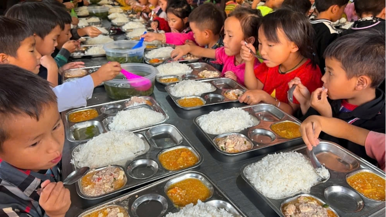 Bộ GD&ĐT siết chuẩn bữa ăn học đường, xây thực đơn dinh dưỡng toàn quốc