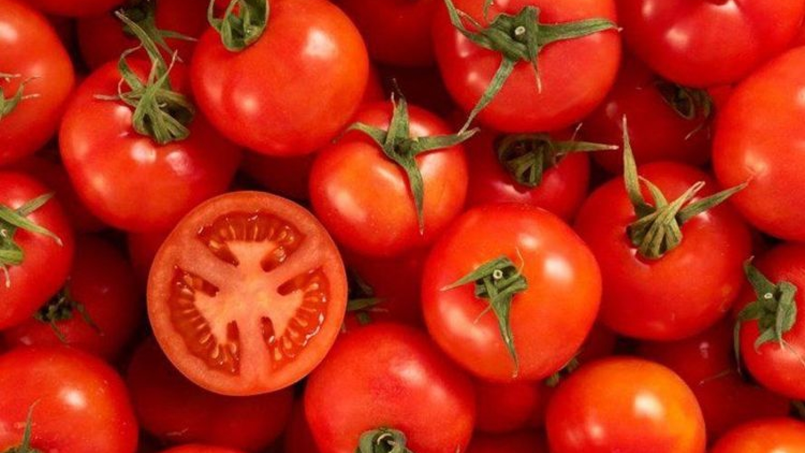 Ăn quá nhiều cà chua có khiến da ngả vàng?