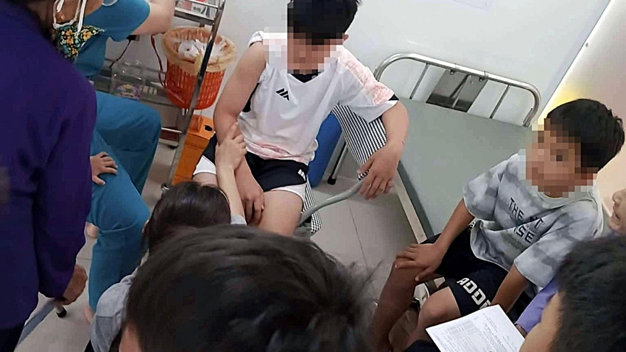 Chó thả rông nghi dại tấn công 6 người dân ở Nghệ An