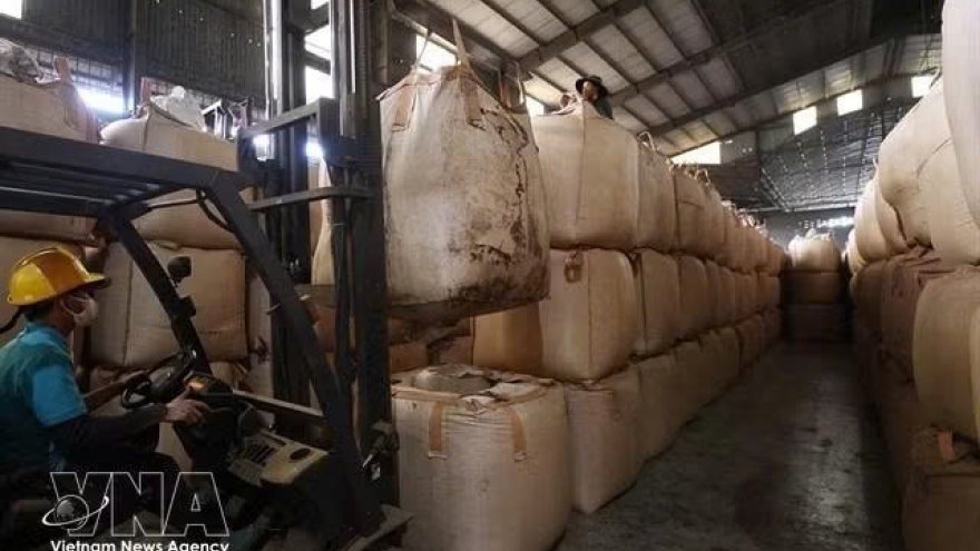Roasted coffee exports to Thailand rise as demand shifts to premium brews