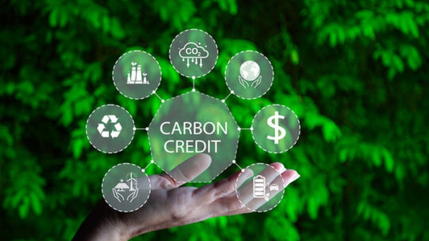 Vietnam moves to complete legal framework for pilot carbon exchange
