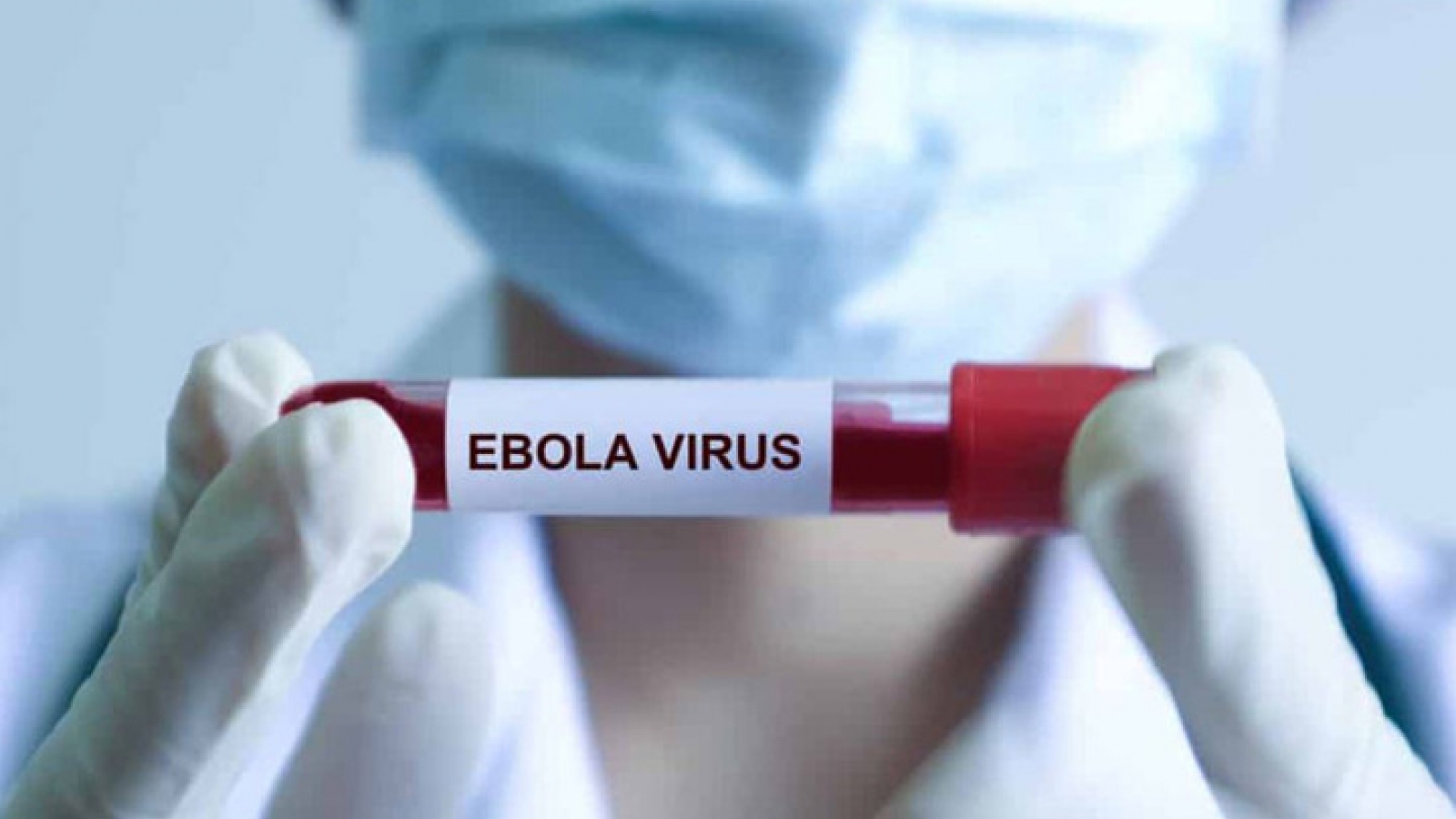 Bệnh Ebola tử vong đến 90%, Bộ Y tế ra chỉ đạo khẩn, yêu cầu cách ly nghiêm ngặt