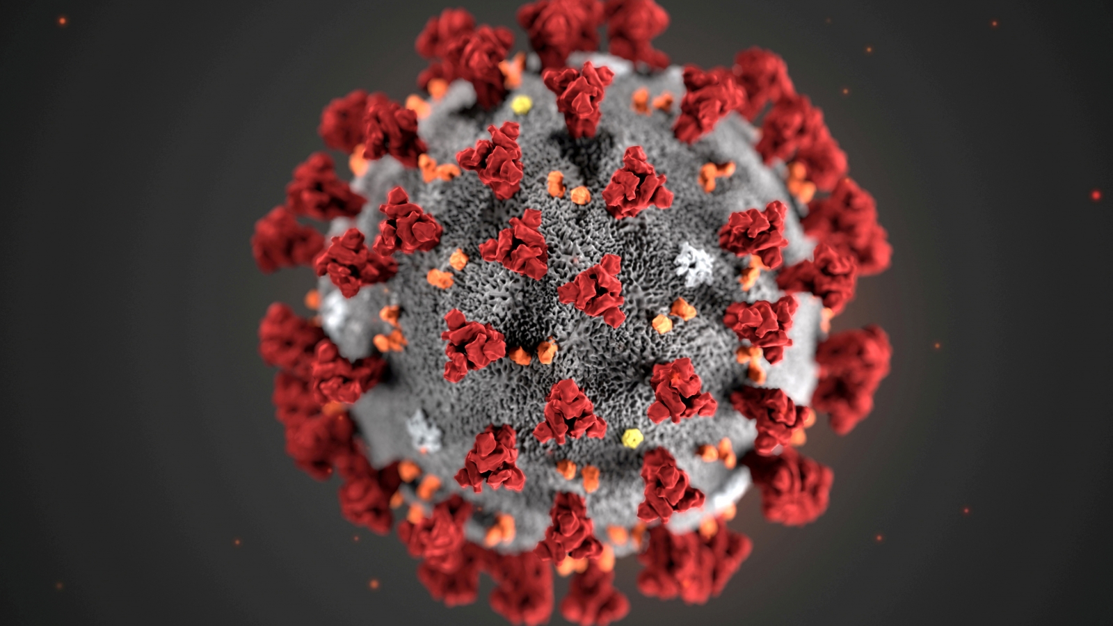 Thái Lan siết chặt kiểm soát y tế với hành khách đến từ vùng dịch Ebola