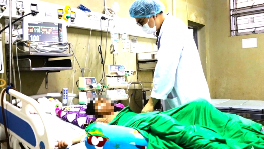 Cảnh báo nguy hiểm từ ong vò vẽ: Một học sinh ở Cà Mau bị đốt hơn 70 vết