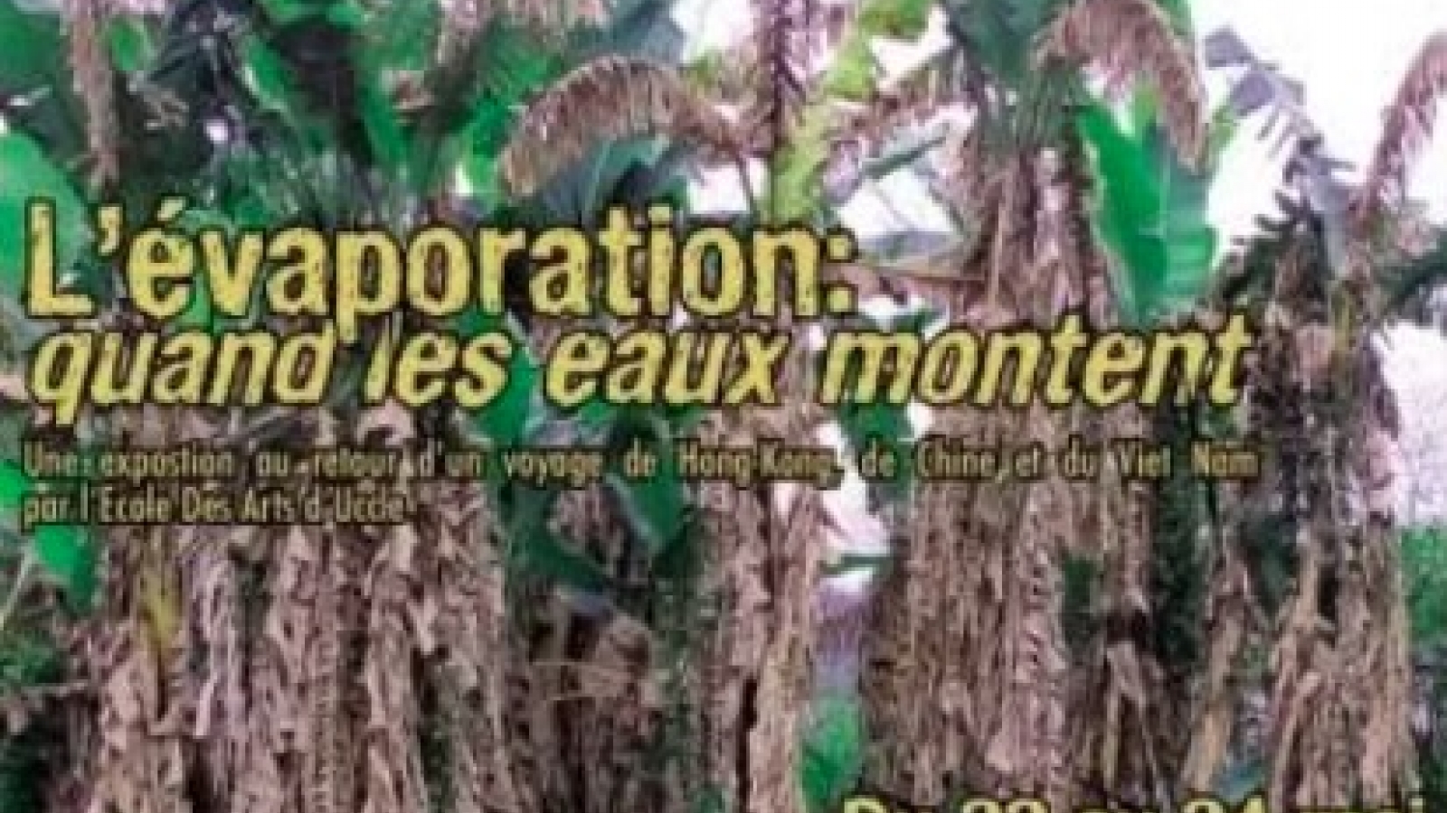 Exhibition in Brussels brings Vietnamese spirit to life through Belgian art