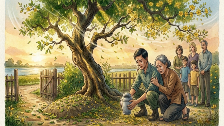 "Dưới gốc mai già": Nỗi đau hậu chiến và hành trình hòa giải