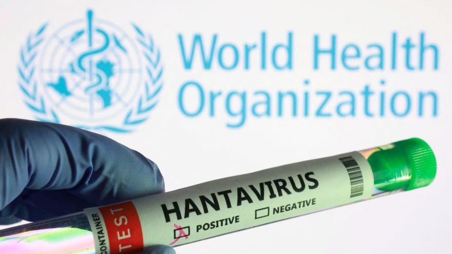 Các nước tăng cường cách ly, giới khoa học tìm lời giải vaccine cho virus Hanta