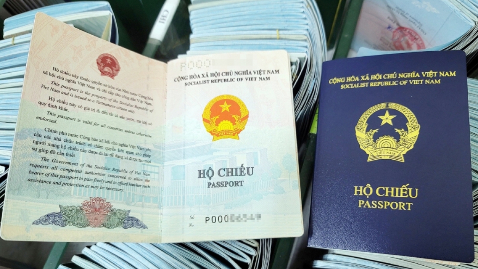 Khuyến cáo công dân Việt Nam không dùng dịch vụ lãnh sự trung gian