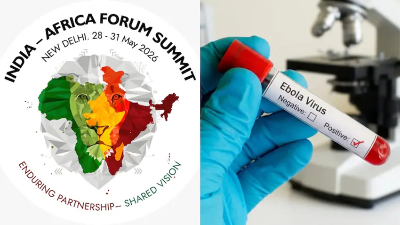 Hội nghị Thượng đỉnh Diễn đàn Ấn Độ - châu Phi bị hoãn do dịch Ebola bùng phát