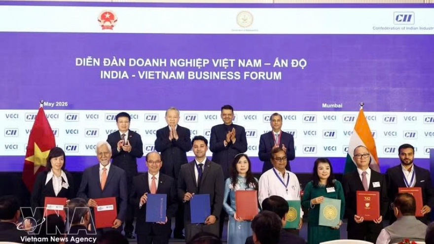 Vietnam increasingly proactive in advancing ties with Asian partners