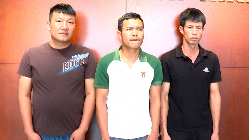 Thanh Hóa khởi tố 3 đối tượng bán lợn nhiễm dịch tả châu Phi ra thị trường