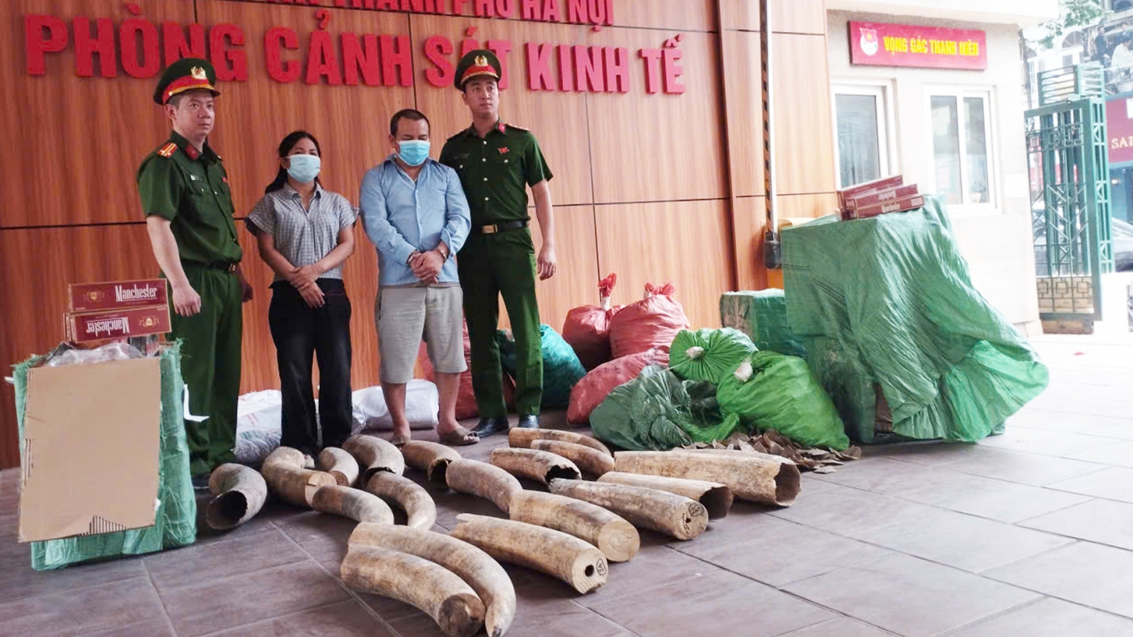 Khởi tố đường dây buôn bán ngà voi, thuốc lá lậu quy mô lớn tại Hà Nội