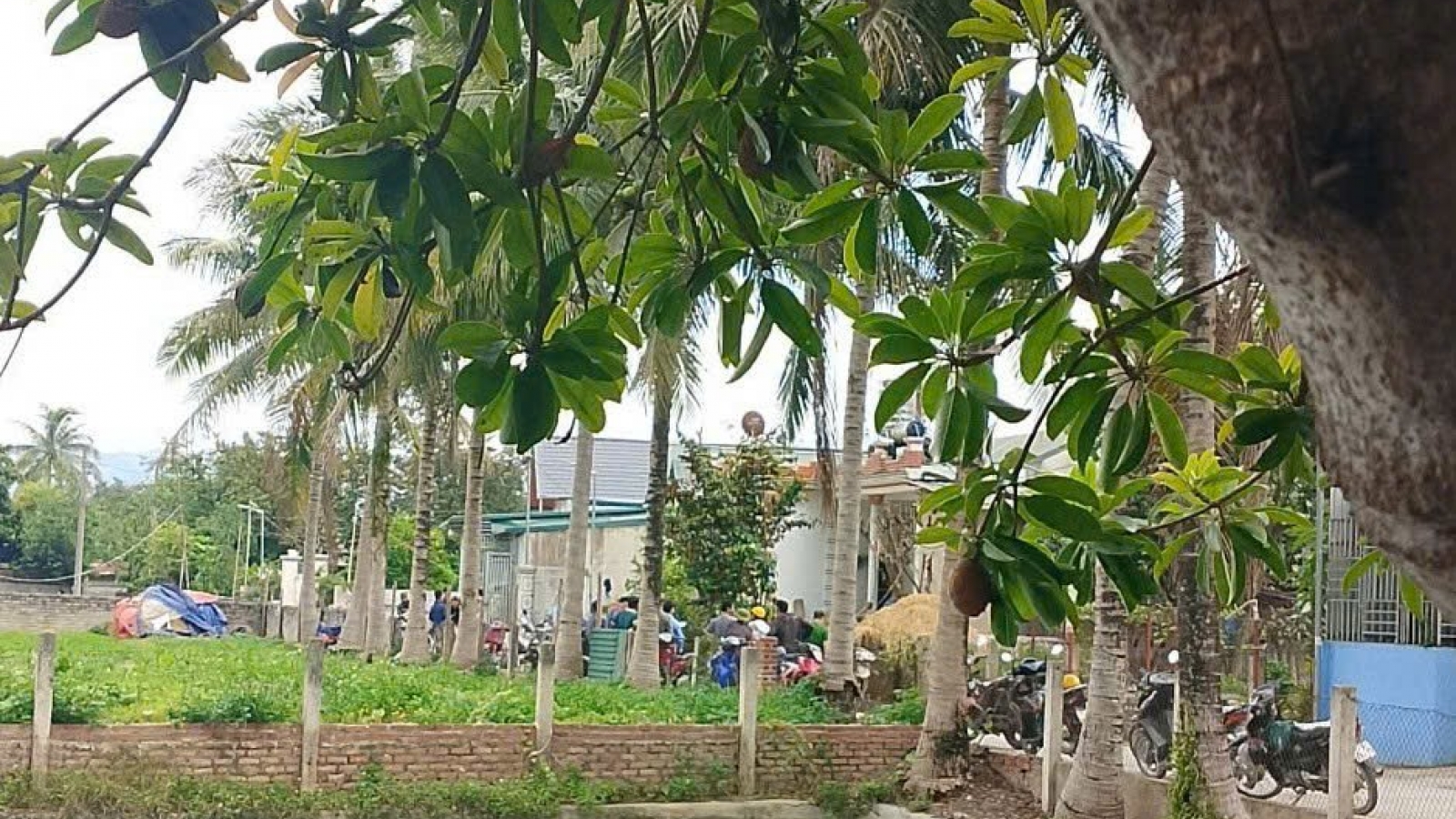 Điều tra vụ bố đẻ dùng dao làm con trai tử vong sau mâu thuẫn gia đình ở Điện Biên