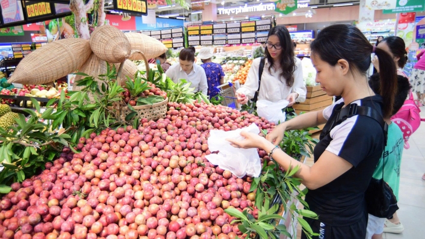 Saigon Co.op đồng hành tiêu thụ mận hậu Sơn La, giá tốt hơn thị trường đến 50%