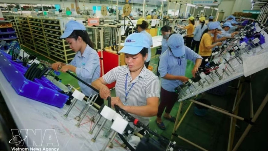 Vietnam, India expand trade cooperation in new growth phase