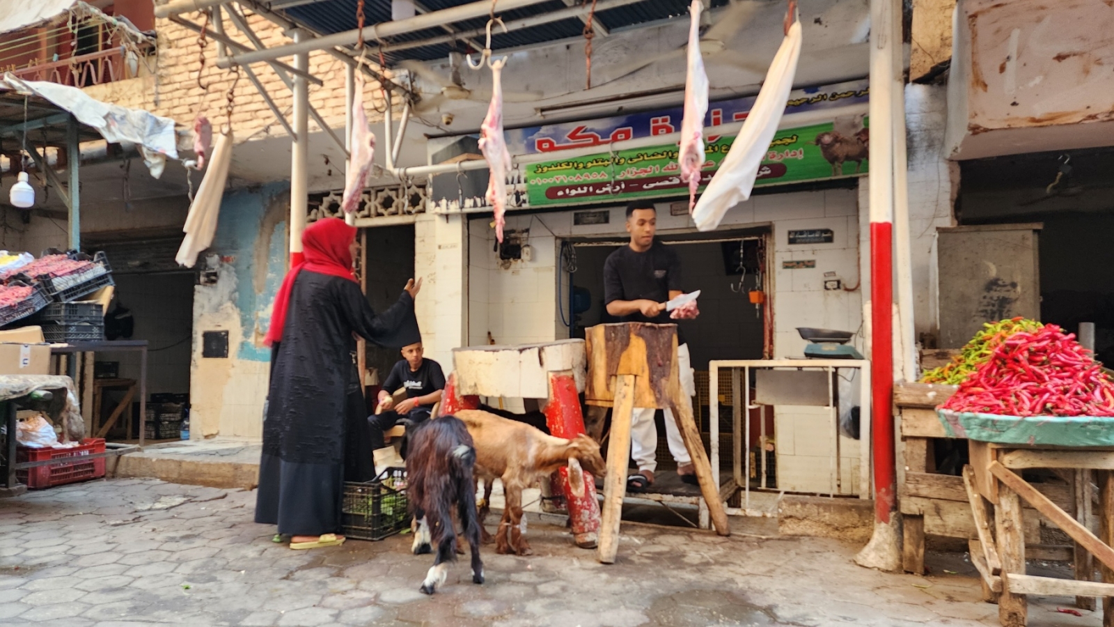 Người dân Ai Cập chuẩn bị đón lễ Al-Adha
