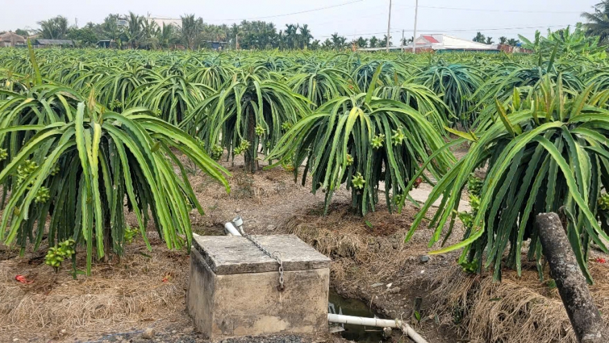 2 người tại Đồng Tháp tử vong do kích cá và sơ suất khi dùng mô tơ bơm nước