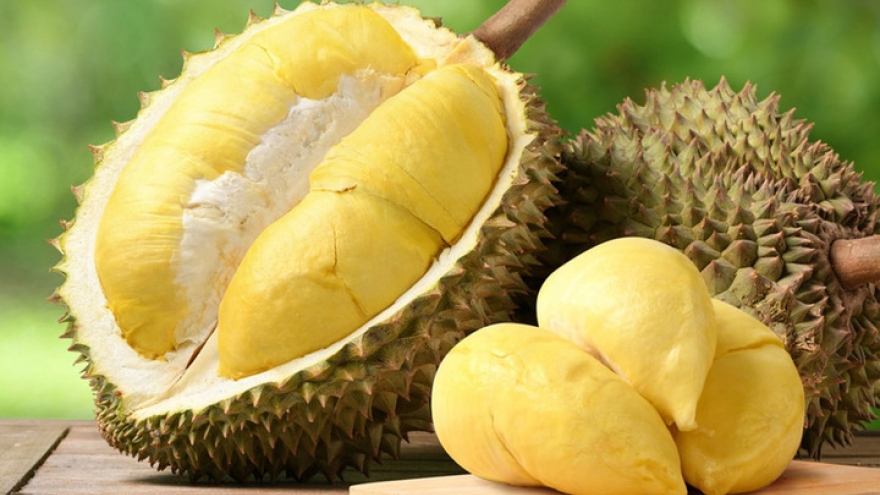 Sầu riêng bổ dưỡng, đang vào mua nhưng những người này cần tránh xa