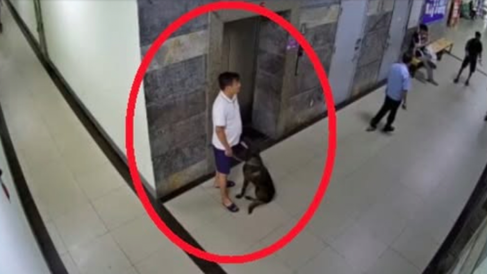 Nhắc cư dân đeo rọ mõm cho chó, thành viên BQT chung cư Đại Thanh bị hành hung?