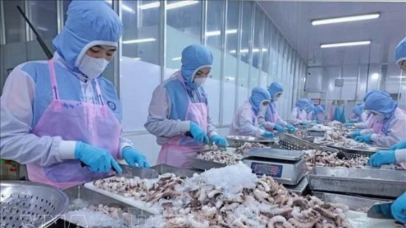 Vietnam’s aquatic product exports aim for US$12 billion target
