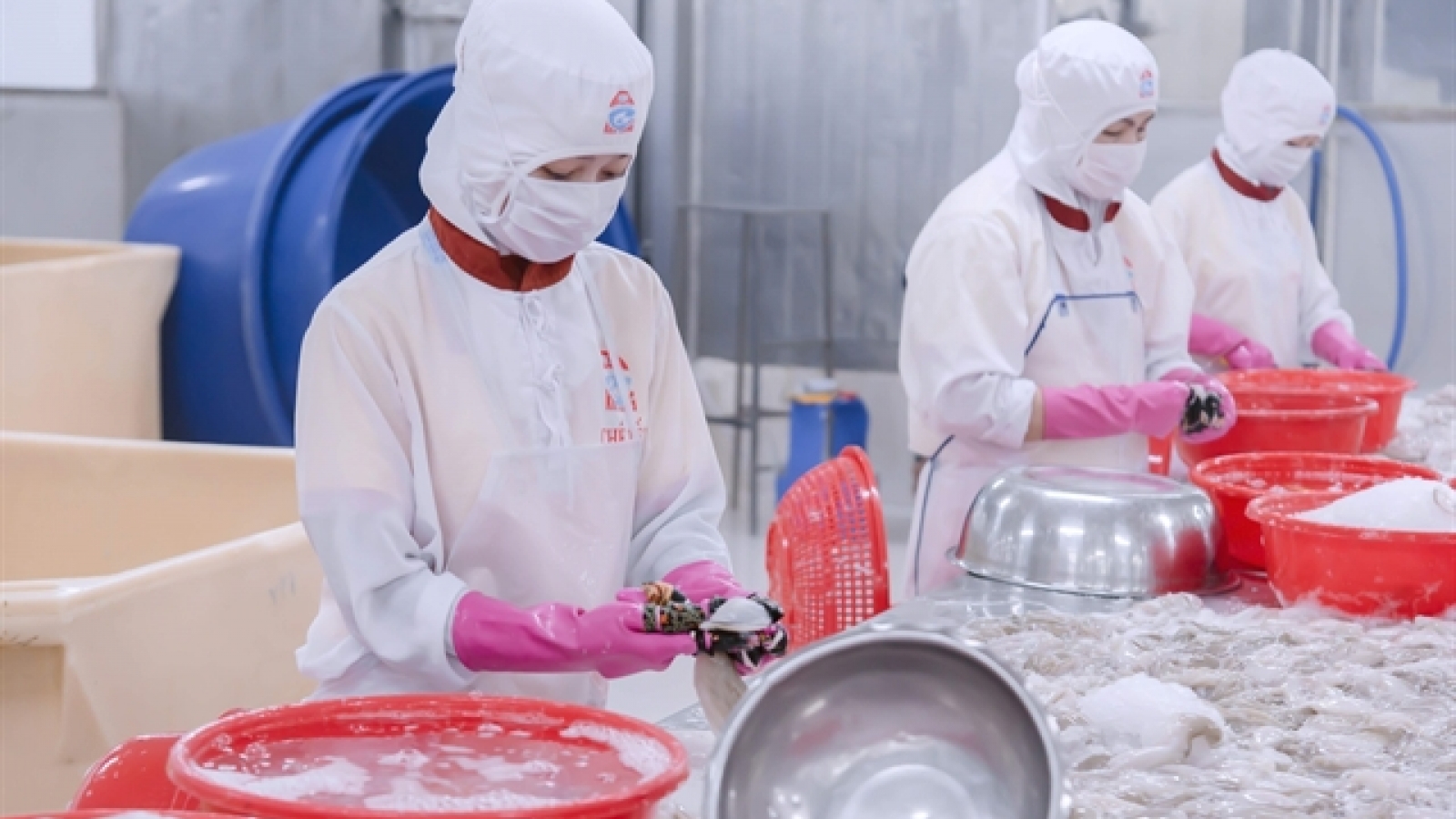 Seafood exports poised to rise by US$1 billion this year
