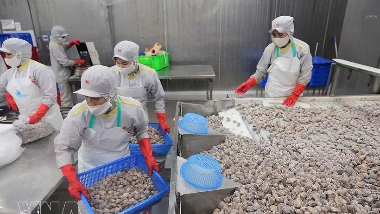 Vietnam notifies WTO committee of goods origin management reforms