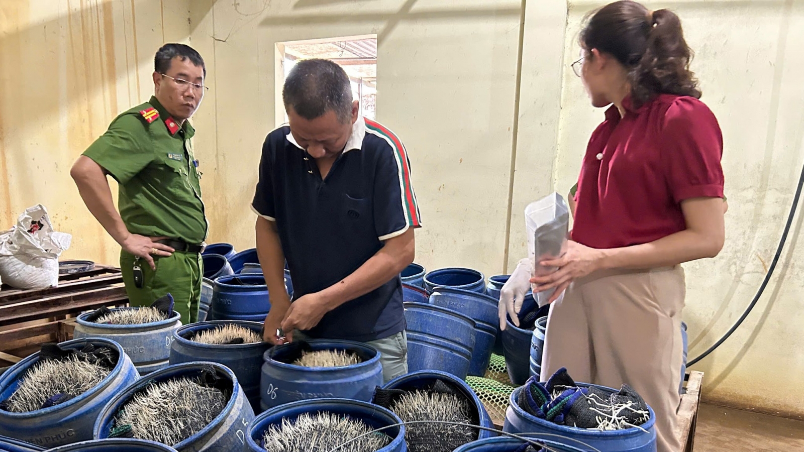 Phát hiện một cơ sở sản xuất giá đỗ sử dụng chất cấm ở Hải Phòng