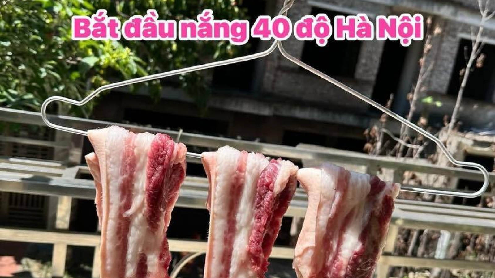 Chuyên gia cảnh báo sức khỏe với trào lưu làm thịt một nắng ở ban công nóng 40 độ