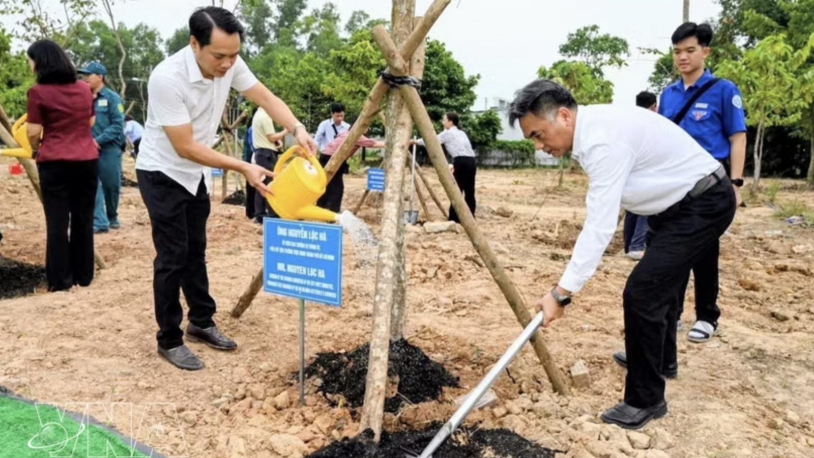 Friendship tree campaign promotes green growth, international solidarity