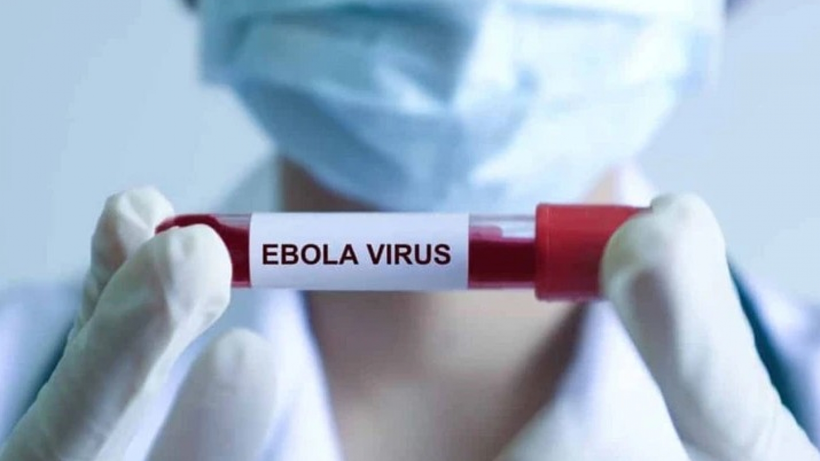Ebola fatality rate can reach 90%, health ministry orders strict isolation