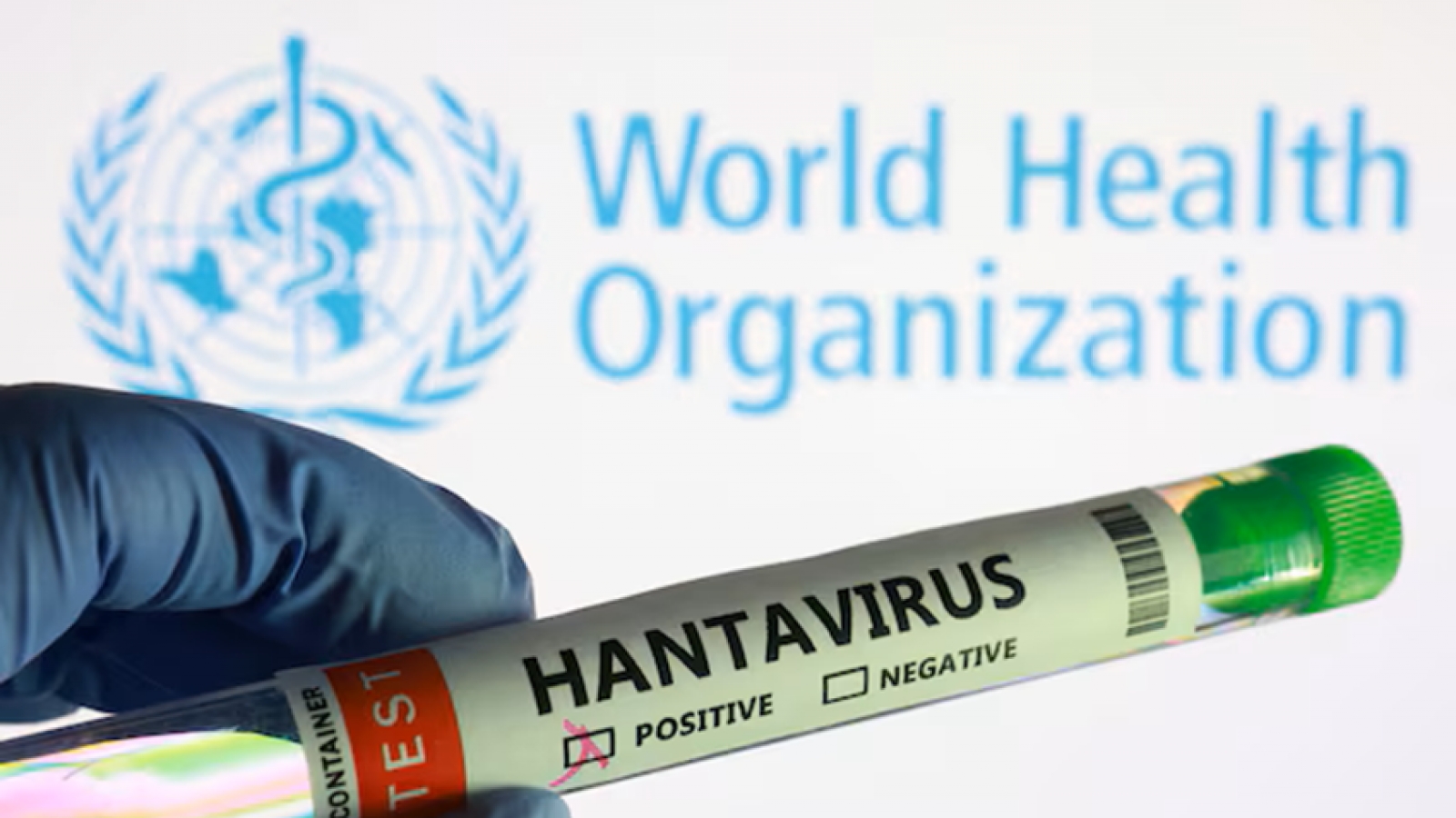 Virus Hanta: WHO khuyến nghị toàn bộ hành khách cách ly 42 ngày
