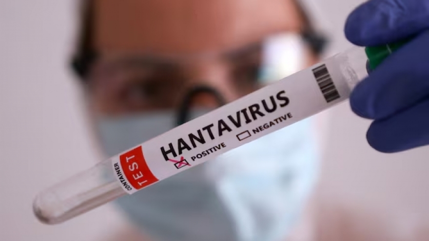 WHO cảnh báo về ổ dịch virus Hanta trên tàu du lịch