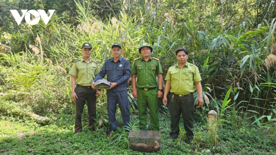 Rare endangered animals released back into Kon Ka Kinh forest