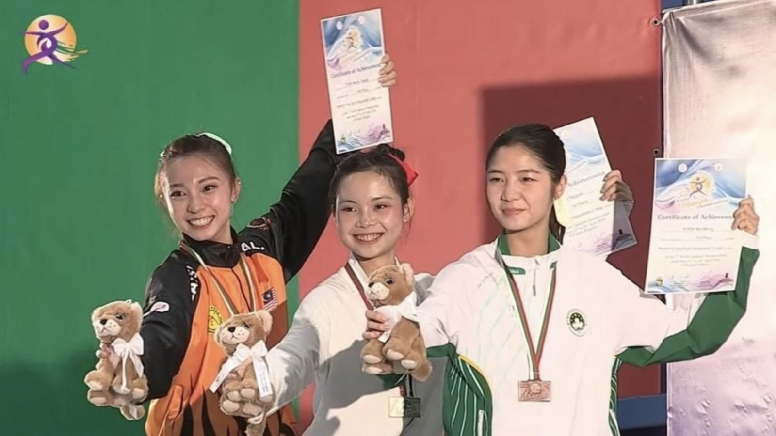 Vietnam finish third with eight golds at World Taijiquan Championships