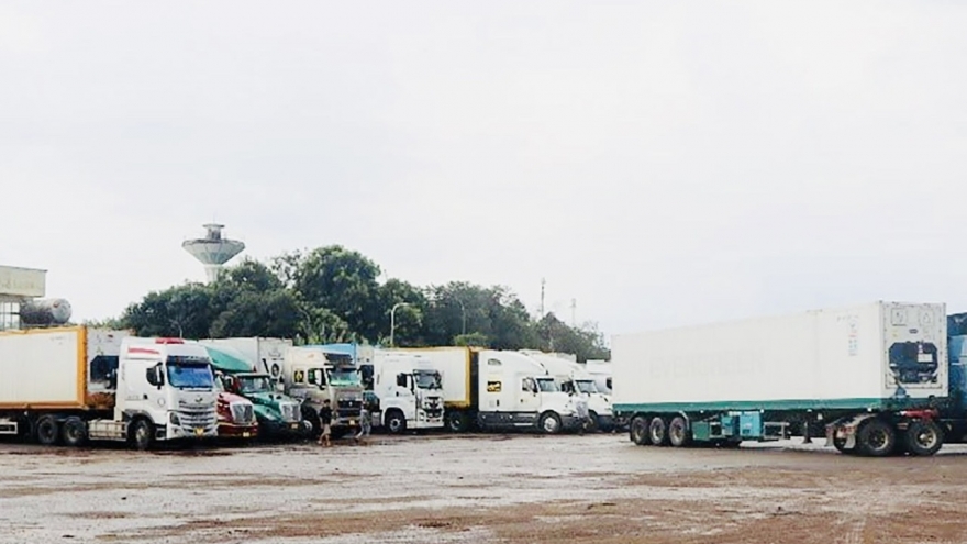 Xe container chở sầu riêng ùn ứ ở Dầu Giây: Chính quyền khẩn cấp giải tỏa
