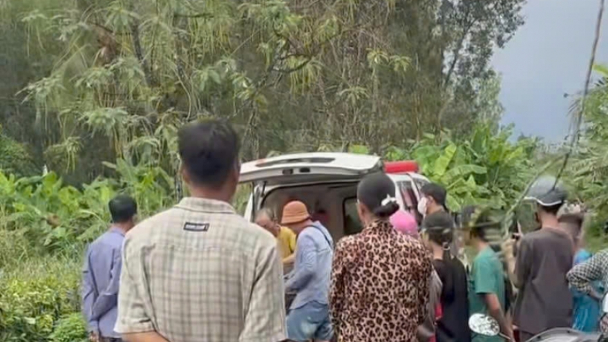 Người đàn ông bị sét đánh tử vong khi đang cưa cây thuê