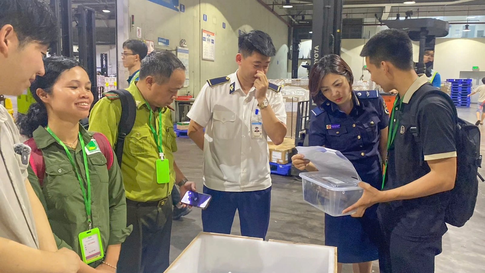 28 cá thể rùa quý hiếm “hồi hương” từ Hàn Quốc về Vườn quốc gia Cúc Phương