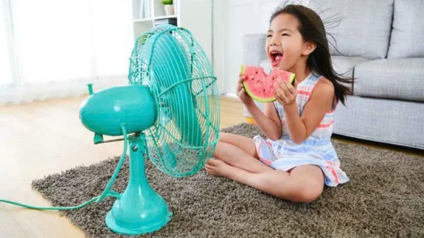 Mẹo làm mát nhà thông minh chỉ bằng quạt điện trong ngày "nắng nóng điên đảo"