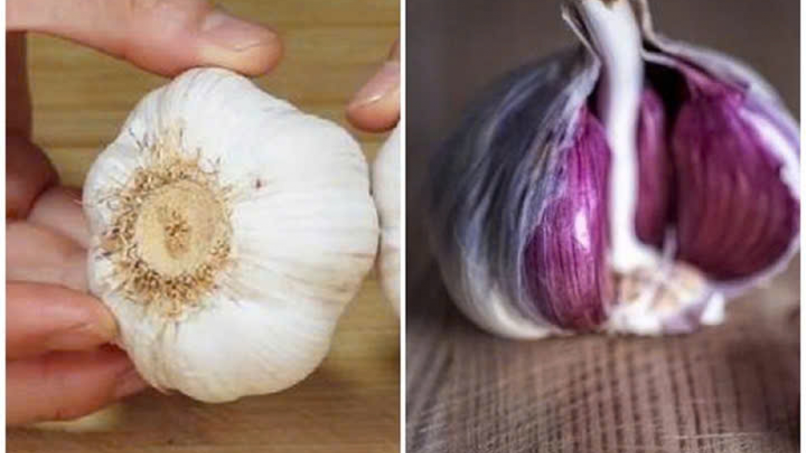 Tỏi vỏ tím có tốt hơn vỏ trắng?